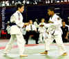 judo_p2.jpg (20108 bytes)