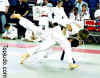 judo_p4.jpg (15422 bytes)