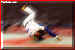 judo_g3.jpg (12413 bytes)